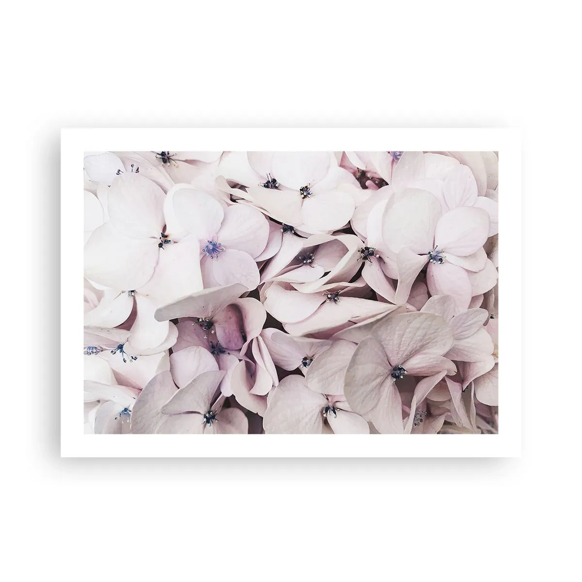 Poster - In the Flood of Flowers - 70x50 cm