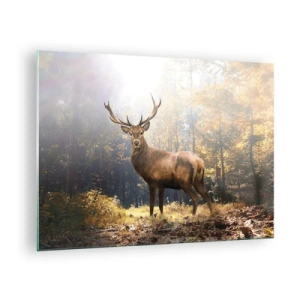 Glass picture - A stately deer in a sunlit autumn forest - 70x50cm - In Full Majesty - Modern wall decoration for the living room and bedroom ARTTOR