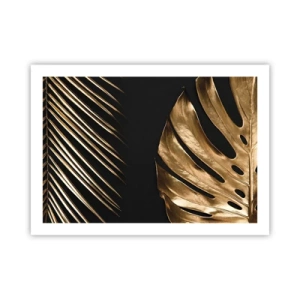 Poster - Different but Equally Exepnsive - 70x50 cm