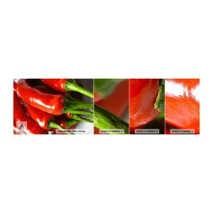 Photo Wallpaper Sample Self-Adhesive Deluxe Sticker - Juicy, Shiny, Smooth - Gastronomy, Pepper, Vegetables - 100x30 cm