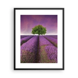 Poster in black frame - In the Fields of Lavender - 40x50 cm