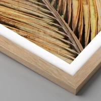 Light Oak