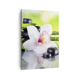 Canvas picture - Cool Freshness - 70x100 cm