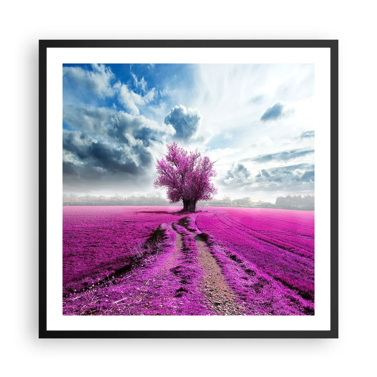 Poster in black frame - Heathland Charm - 60x60 cm
