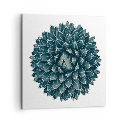 Canvas picture - Star of the Desert - 50x50 cm