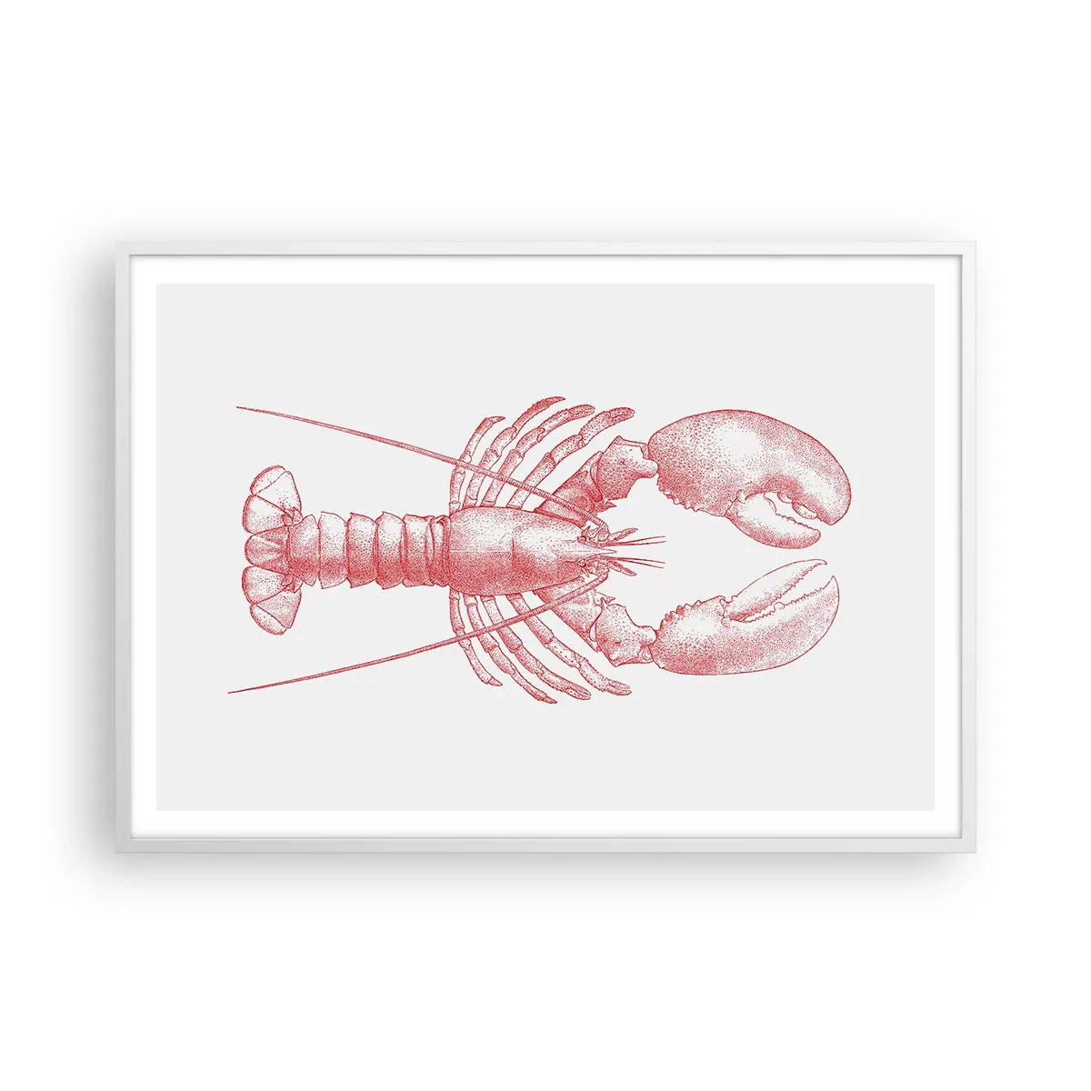 Poster in white frmae - Lobster Worthy of a Lobster - 100x70 cm