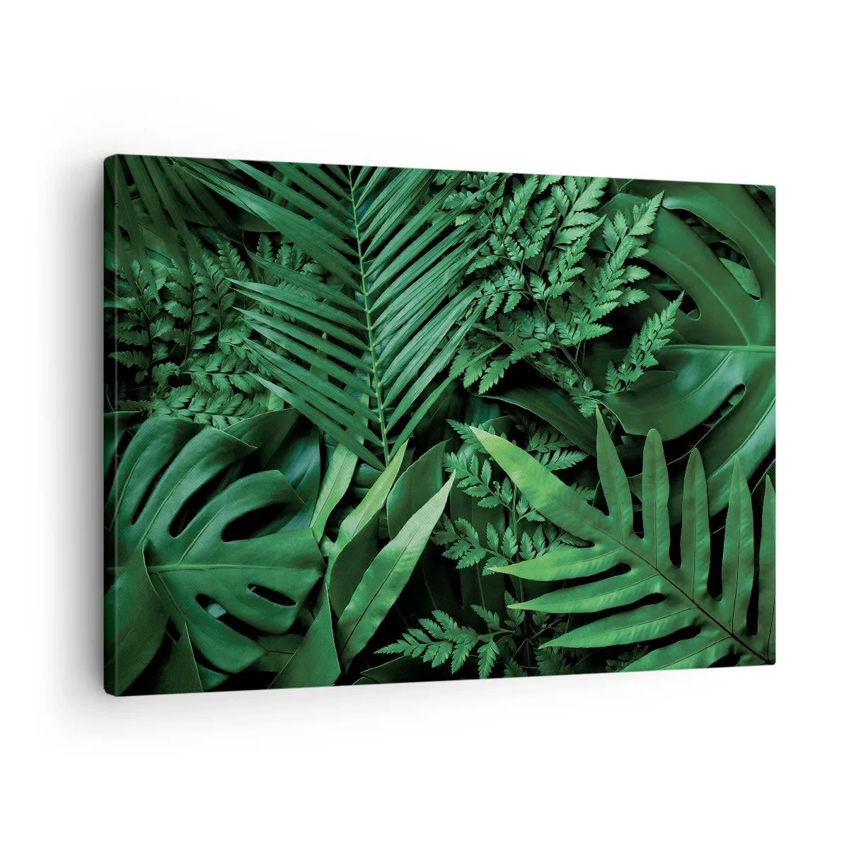 Canvas picture - Green tropical leaves in a dense and natural composition - 70x50cm - In a Green Hug - Modern wall decoration for the living room and bedroom ARTTOR