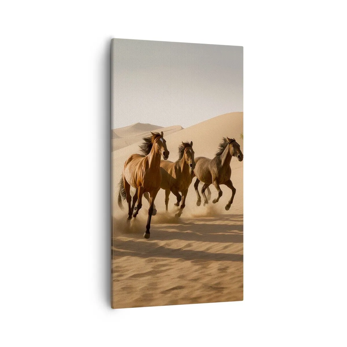 Canvas picture - Free as a Wind - 55x100 cm