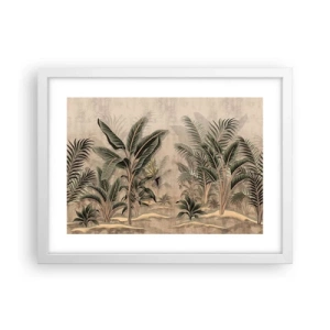 Poster in white frmae - Engraving in Colonial Style - 40x30 cm