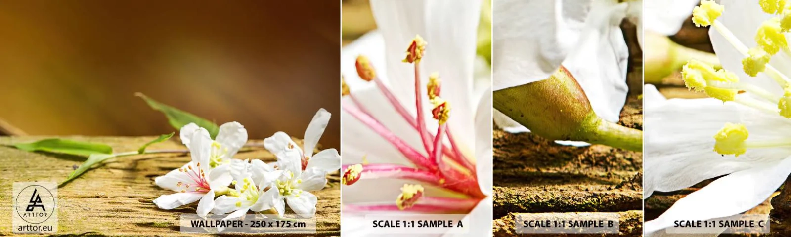 Photo Wallpaper Sample Standard Eco - Innocent Promise - Flowers, Bamboo, Spa - 100x30 cm