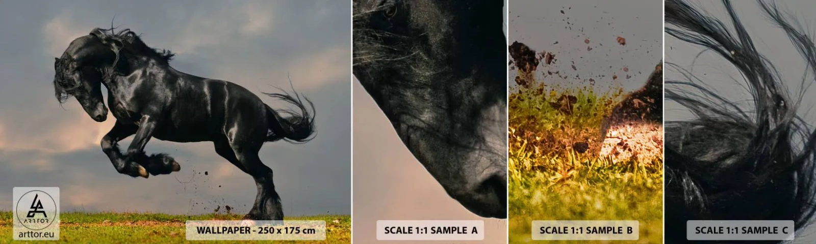 Photo Wallpaper Sample Self-Adhesive Deluxe Sticker - Beautiful and Free - Animals, Horse, Landscape - 100x30 cm