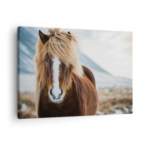 Canvas picture - Icelandic horse against a mountain landscape - 70x50cm - Can You Feel the Freedom? - Modern wall decoration for the living room and bedroom ARTTOR