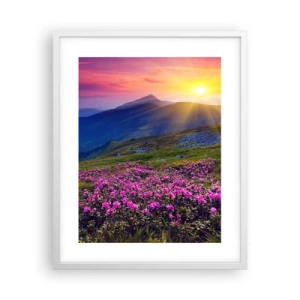 Poster in white frmae - Surrounded by Mountain Pine and Herbs - 40x50 cm