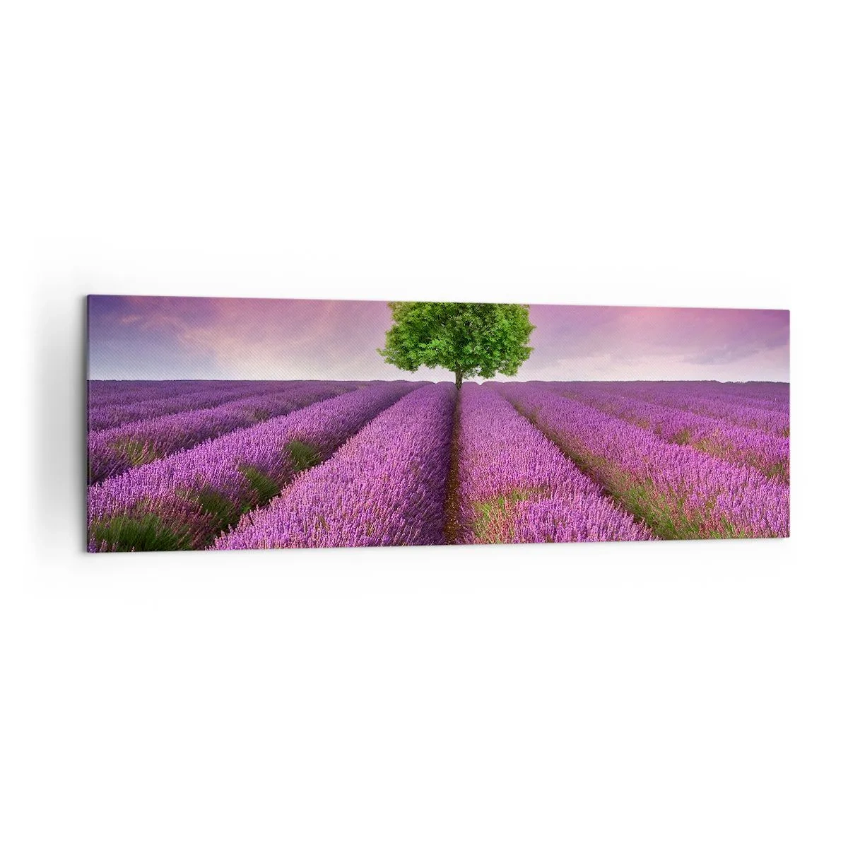 Canvas picture - In the Fields of Lavender - 160x50 cm