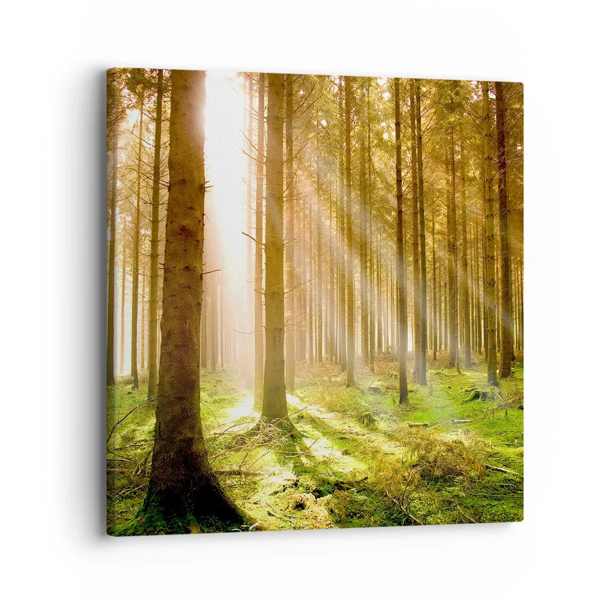 Canvas picture - Elfs Will Be Here Soon - 30x30 cm