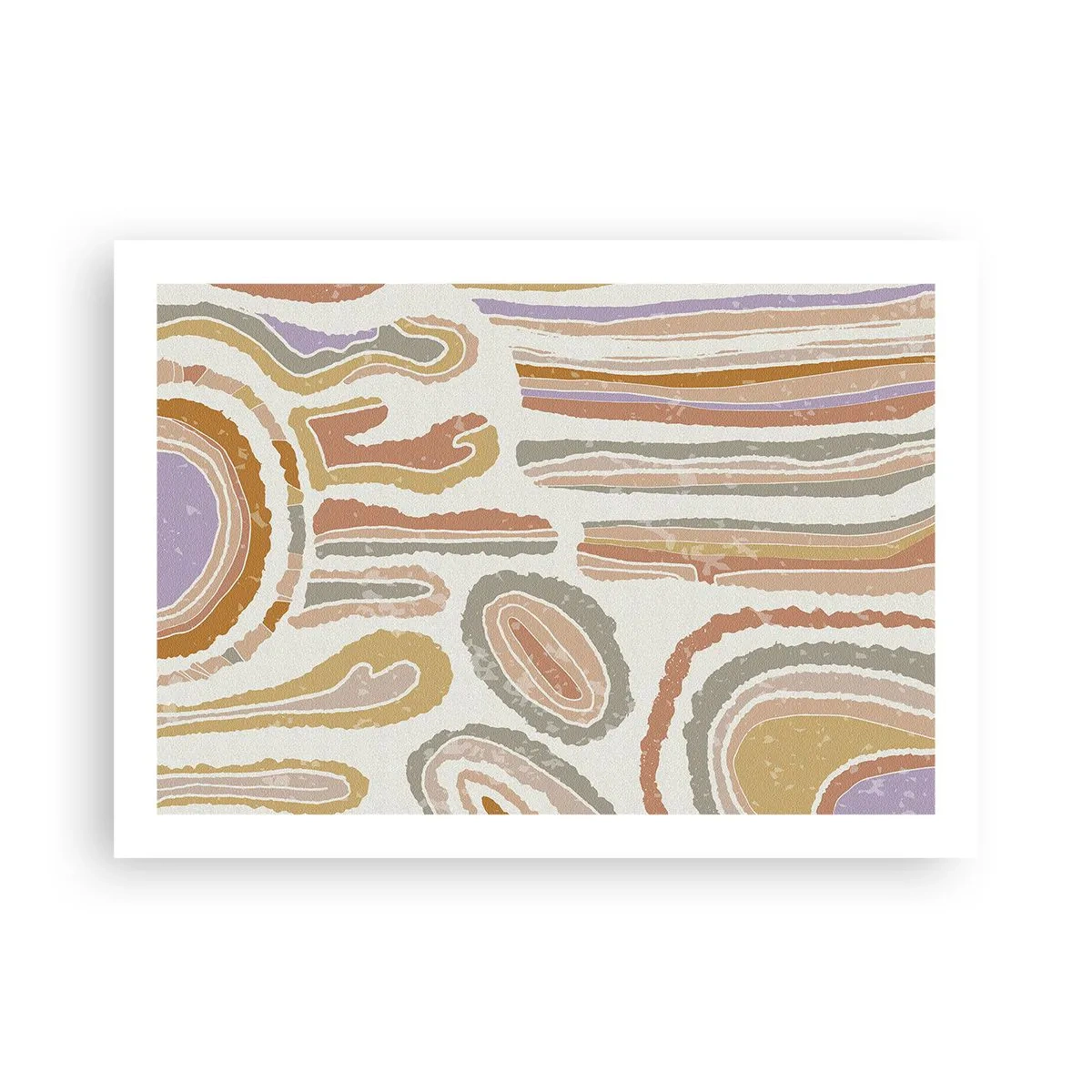 Poster - Colourful Cross-Sections - 70x50 cm