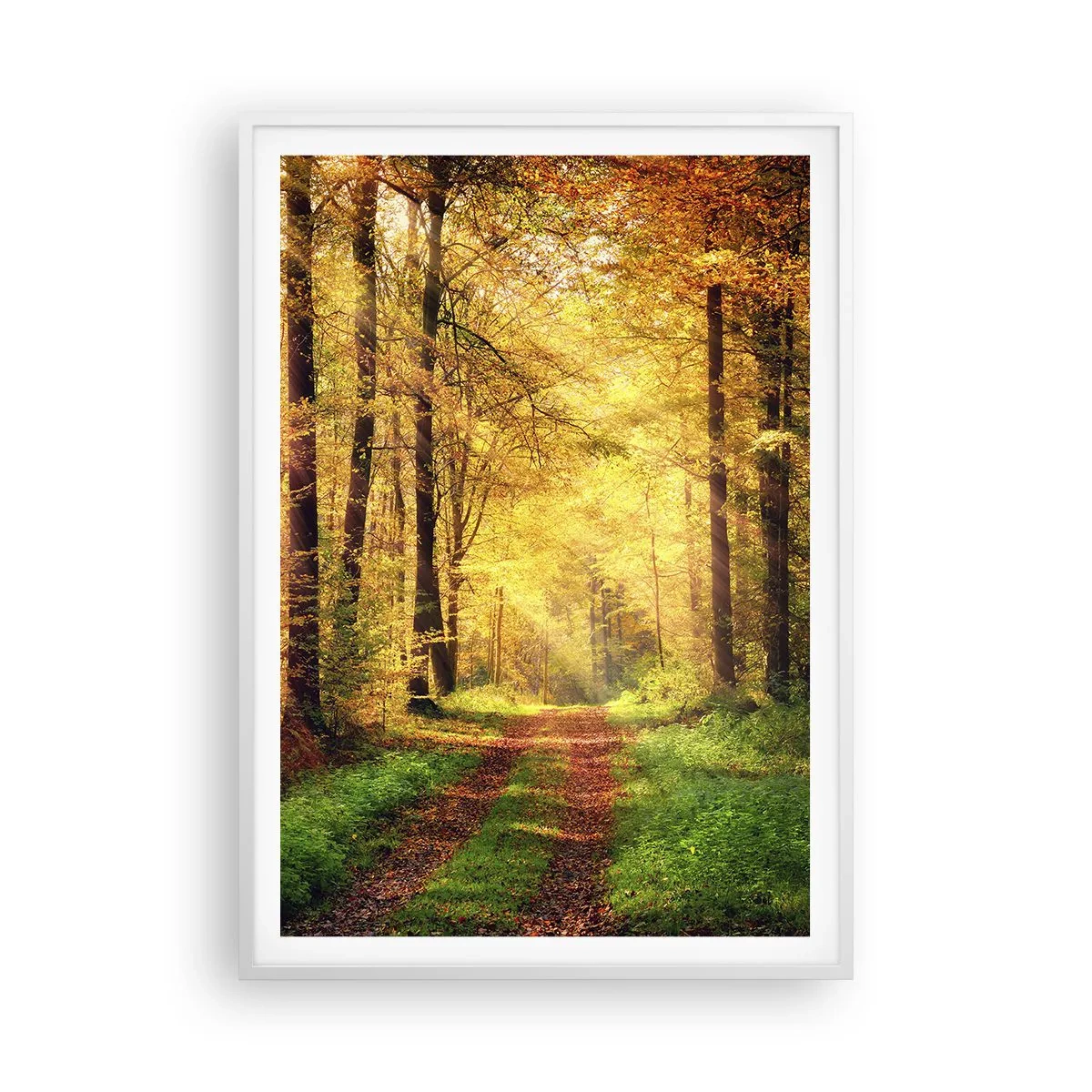 Poster in white frmae - Forest Golden silence - 70x100 cm