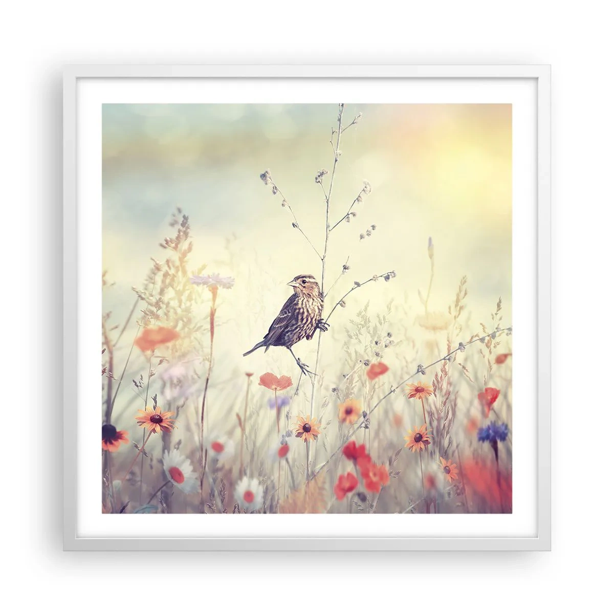 Poster in white frmae - Bird Portrait with a Meadow in the Background - 60x60 cm