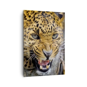 Canvas picture - Do Not Come Close, I am Warning You! - 70x100 cm