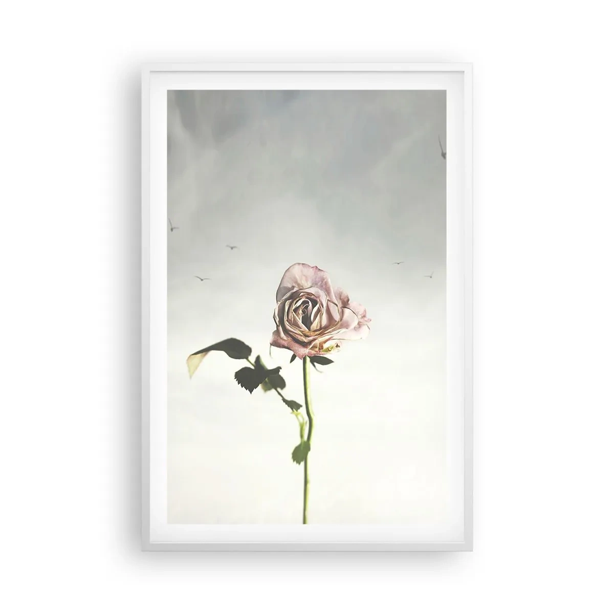 Poster in white frmae - Welcoming of Spring - 61x91 cm