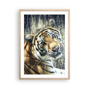 Poster in light oak frame - Portrait in Rays of Light - 50x70 cm