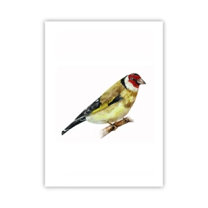 Poster - Bird Portrait  - 50x70 cm