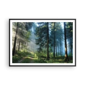 Poster in black frame - Radiant at Dawn - 100x70 cm
