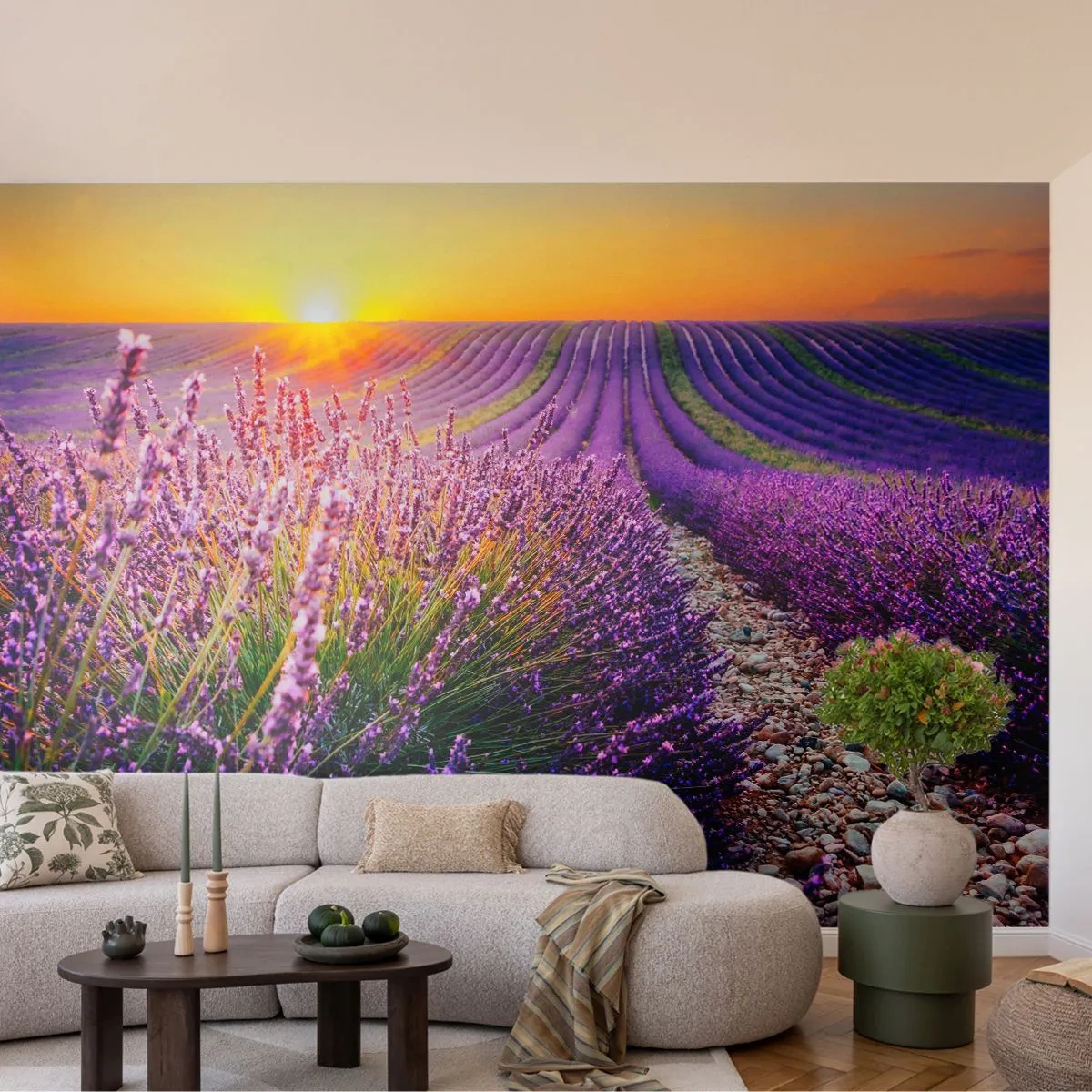 Photo Wallpaper Standard Eco - Fragrant Field - Landscape, Lavender Field, Provence - 150x105 cm