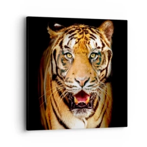 Canvas picture - Wild at Heart - 40x40 cm