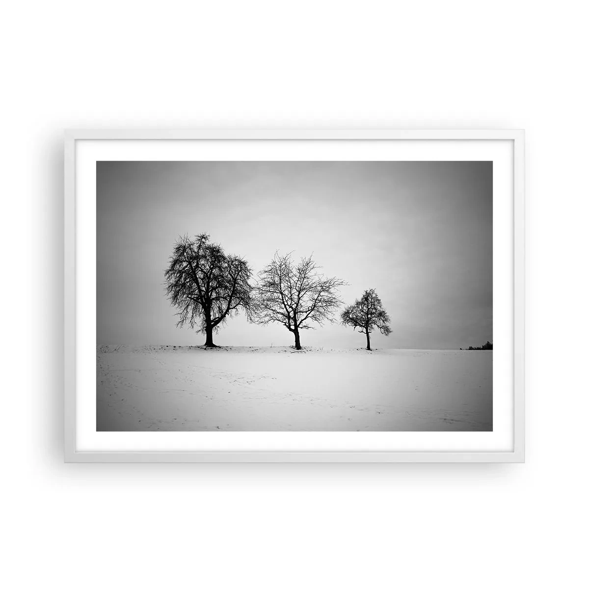 Poster in white frmae - What Are They Dreaming About? - 70x50 cm
