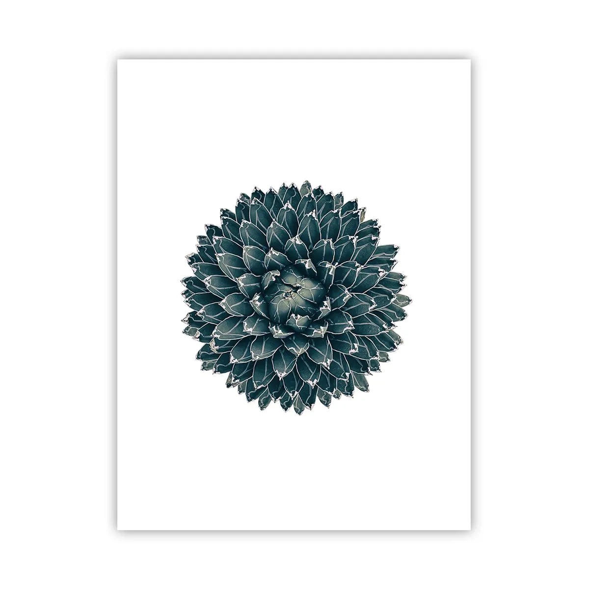 Poster - Star of the Desert - 30x40 cm