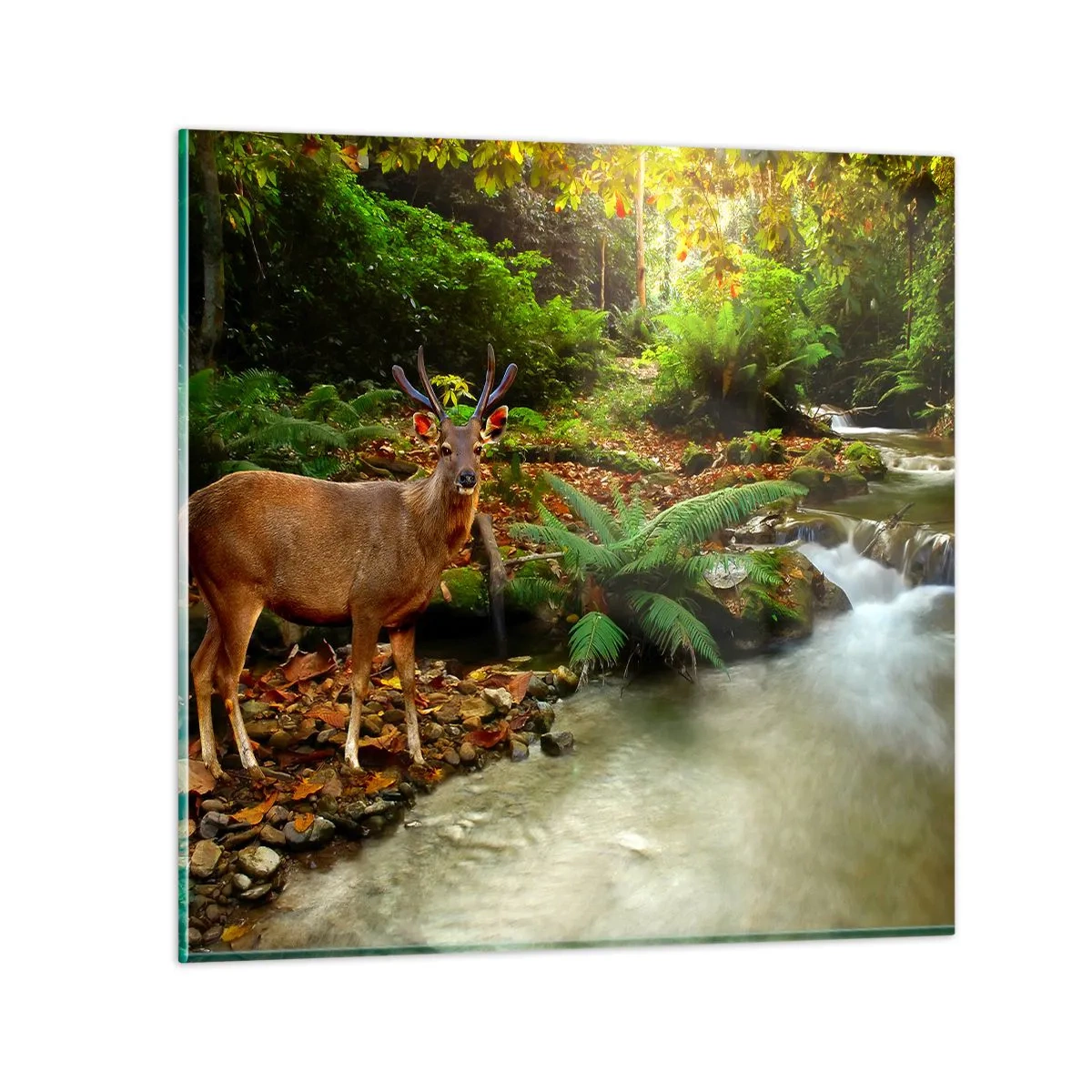 Glass picture - Wlecome to my World - 60x60 cm