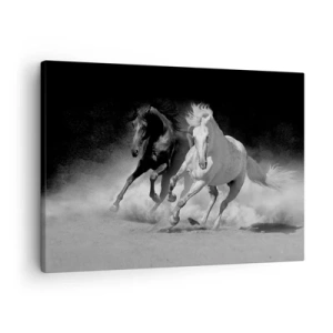 Canvas picture - Running horses in black and white - 70x50cm - Gallop of Freedom - Modern wall decoration for the living room and bedroom ARTTOR