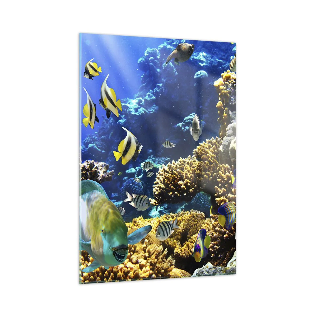 Glass picture - Big Traffic to Holiday Destination - 50x70 cm