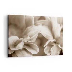 Canvas picture - Soft as a Smile - 100x70 cm