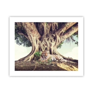 Poster - View from the Genesis - 50x40 cm