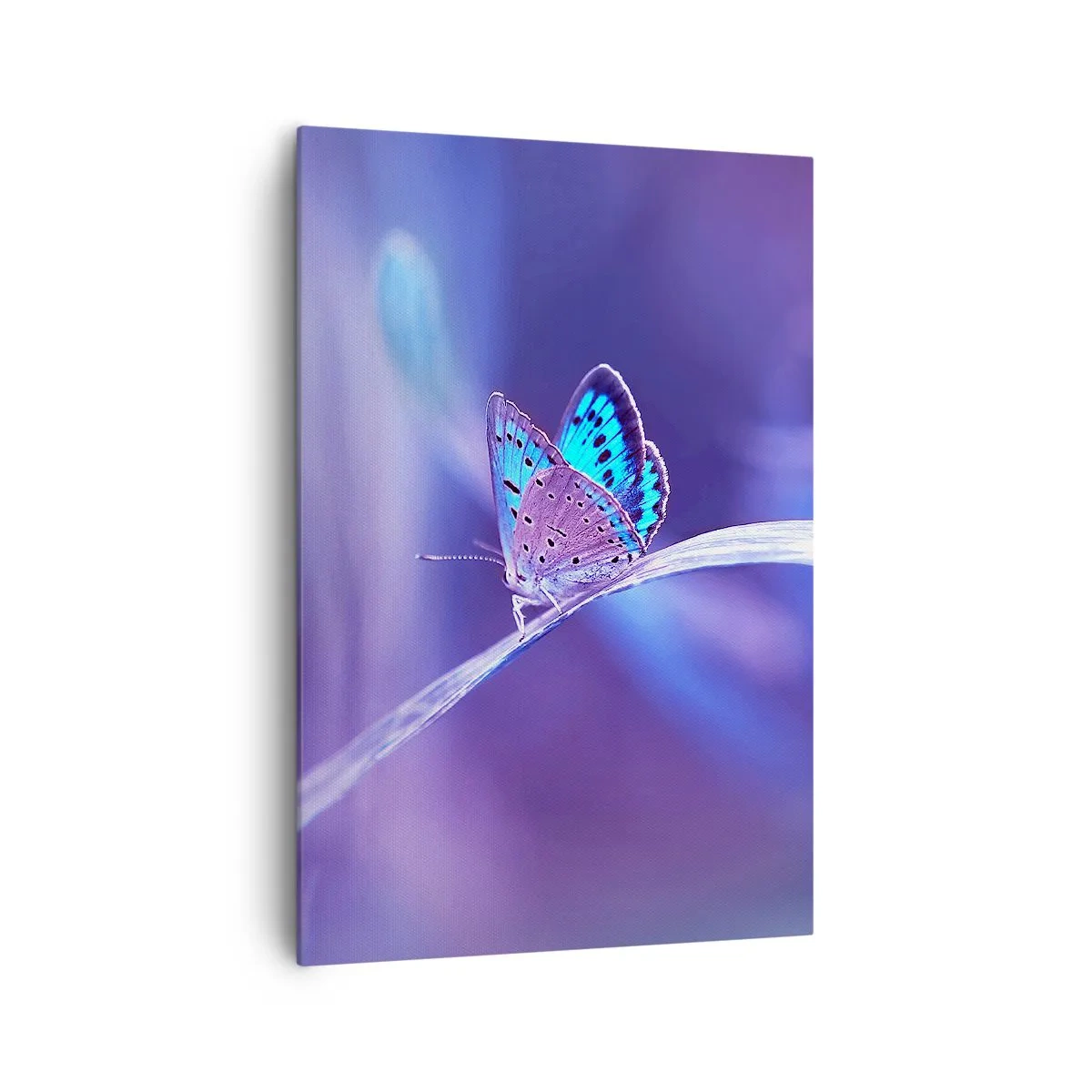 Canvas picture - Jewel of Nature - 70x100 cm