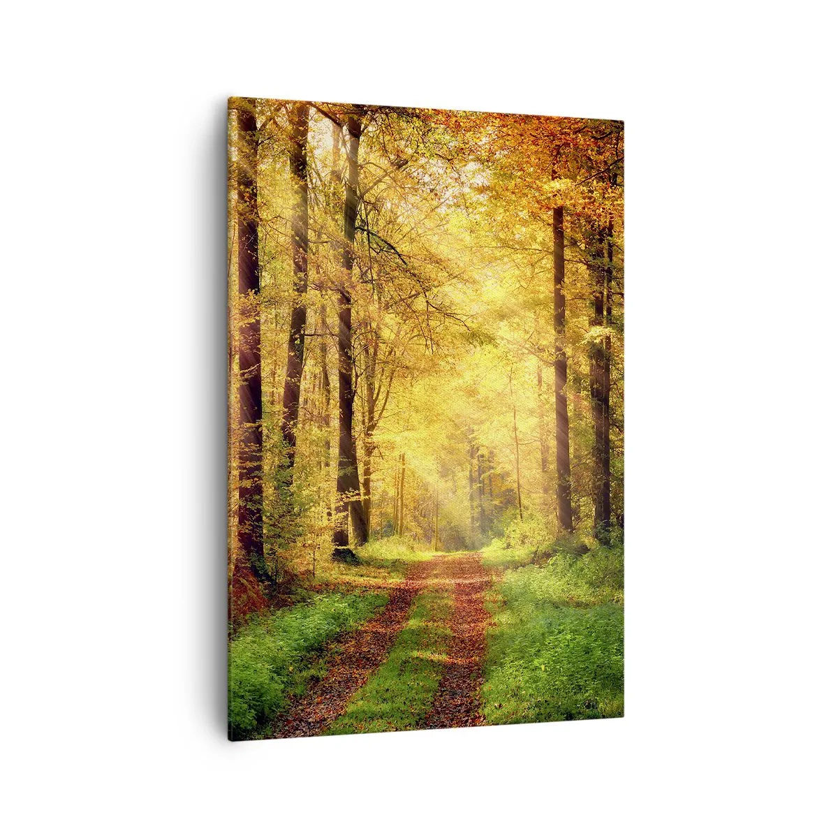 Canvas picture - Forest Golden silence - 70x100 cm
