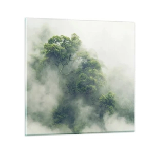 Glass picture - Wrapped In Fog - 70x70 cm