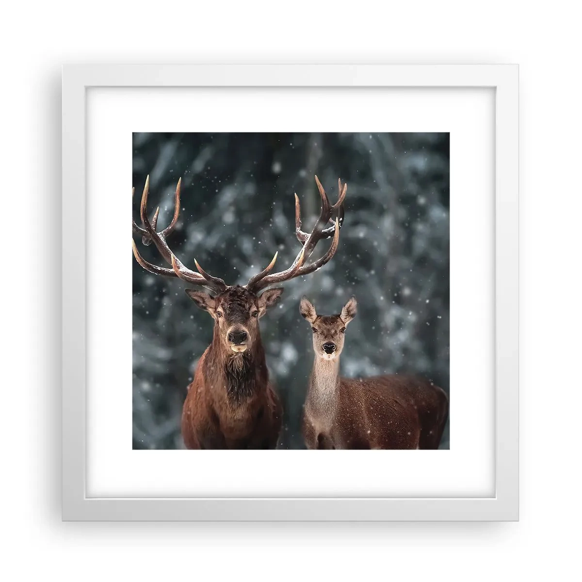 Poster in white frmae - Master of the Forest with His Wife - 30x30 cm