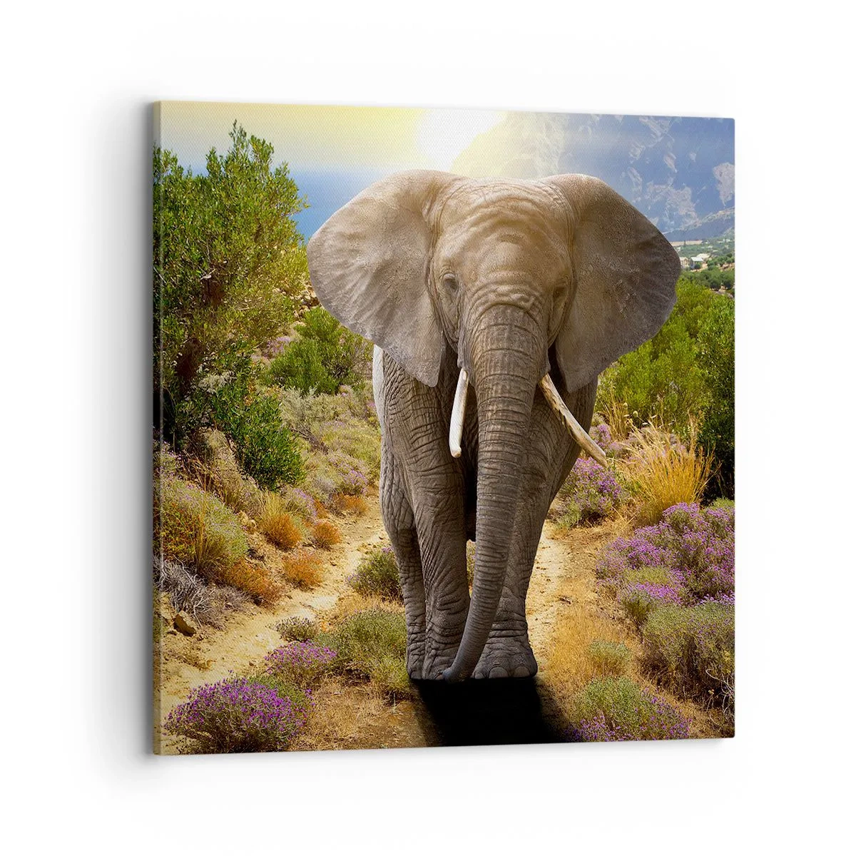 Canvas picture - This is What Eden Looked Like - 70x70 cm
