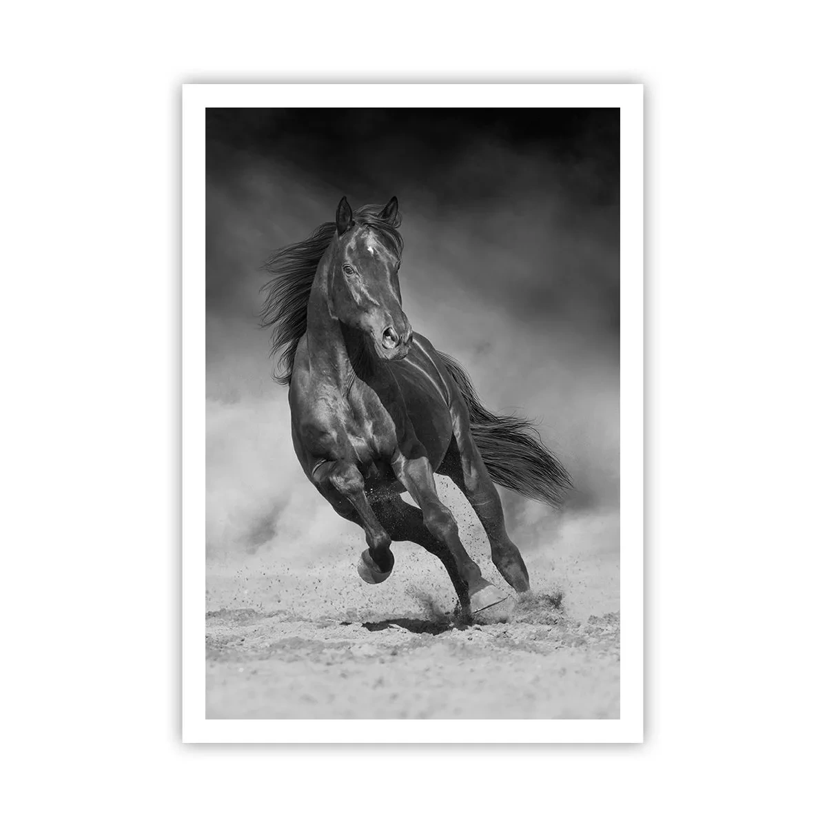 Poster - Worthy of Emir Himself - 70x100 cm