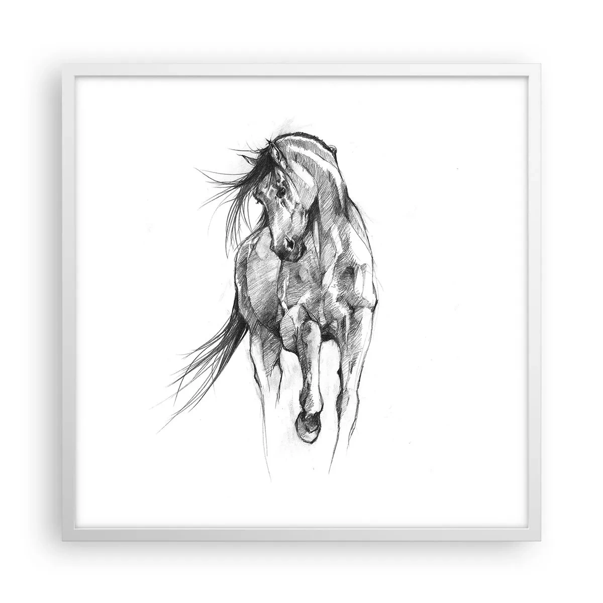 Poster in white frmae - In a Graceful Trot - 60x60 cm