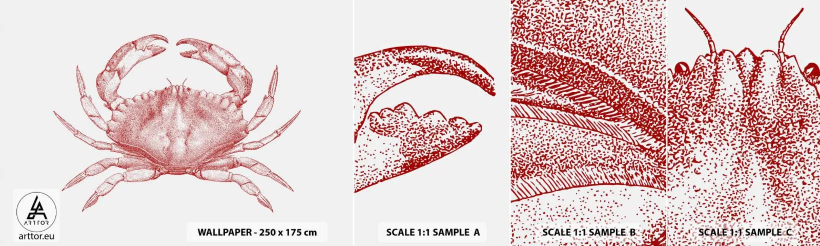 Photo Wallpaper Sample Self-Adhesive Deluxe Sticker - Crab Like No Other - Crab, Seafood, Shellfish - 100x30 cm