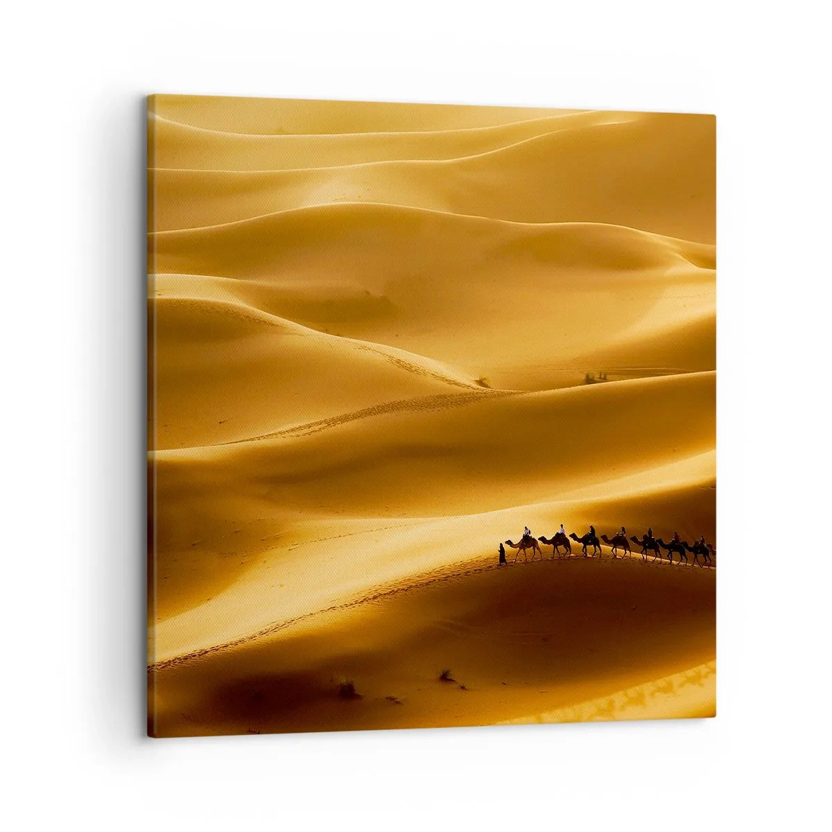 Canvas picture - Caravan on the Waves of a Desert - 50x50 cm