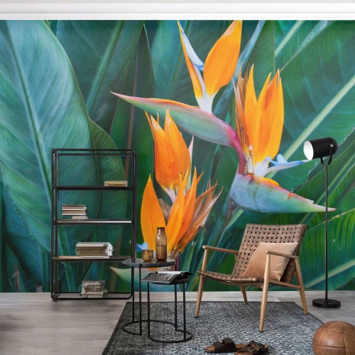 Self-Adhesive Photo Wallpaper Deluxe Sticker - Is It a Flower or a Bird? - Strelitzia Royal, Flower, Africa - 450x315 cm