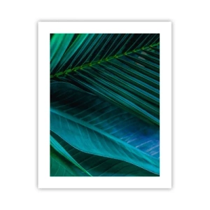 Poster - Anatomy of Green - 40x50 cm