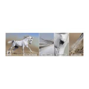 Photo Wallpaper Sample Standard Eco - The Most Beautiful Arabic Tale - Horse, Animals, Gallop - 100x30 cm