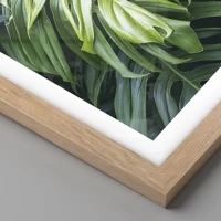 Light Oak
