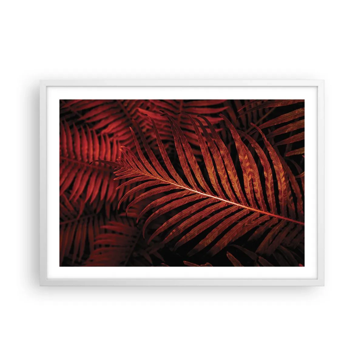 Poster in white frmae - Heat of Life - 70x50 cm